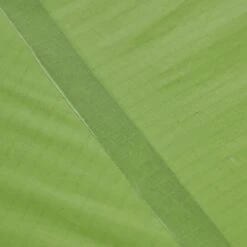 VAUDE LIZARD SEAMLESS 1-2P - Einpersonenzelt -Fernweh Camping 5637736447 af power lizard seamless 12p cress green vaude 24